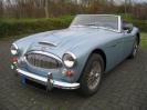 Restauration Austin-Healey